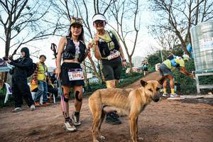 BIB: 
                            <button type="button" onclick="openModal(25457964)" class="btn btn-primary btn-sm float-right btn-popup" data-toggle="modal" data-target=".modal-high-quality">
                        <i class="fas fa-shopping-cart"></i> Add to Cart
                    </button>
                                            <button type="button" onclick="isThisMe(25457964, true)" class="btn btn-success btn-sm float-right btn-popup btn-isme hidden" data-toggle="tooltip" data-placement="bottom" title="นี่คือรูปของคุณใช่ไหม คลิกที่นี่เพื่อเอาเข้าอัลบั้ม">
                        <i class="fas fa-plus"></i> Add to album
                    </button>
                    <button type="button" onclick="isThisMe(25457964, false)" class="btn btn-warning btn-sm float-right btn-popup btn-isnotme hidden">
                        <i class="fas fa-ban"></i> Remove from album
                    </button>